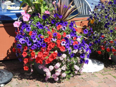 DSCN9392.JPG
