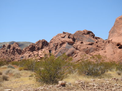 DSCN9530.JPG