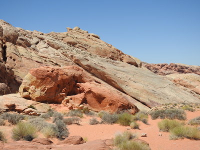 DSCN9555.JPG