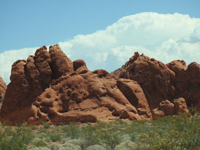 DSCN9556.JPG