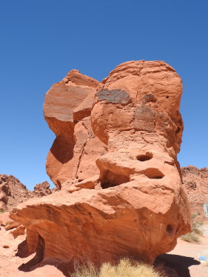 DSCN9561.JPG