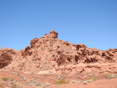 DSCN9567.JPG