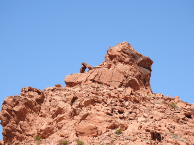 DSCN9568.JPG