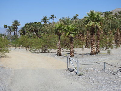 DSCN9664.JPG