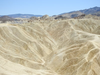 DSCN9683.JPG