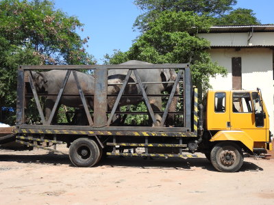 DSCN0645.JPG