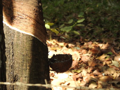 DSCN0698.JPG