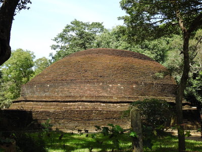 DSCN0700.JPG