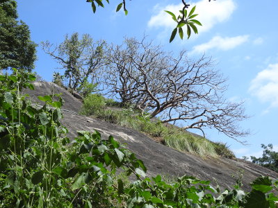 DSCN0712.JPG