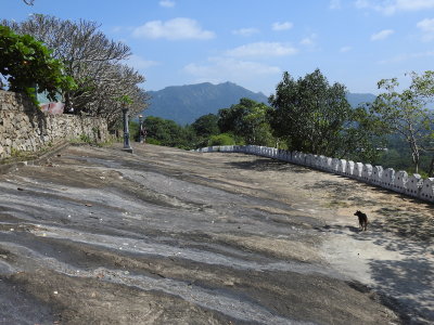 DSCN0714.JPG