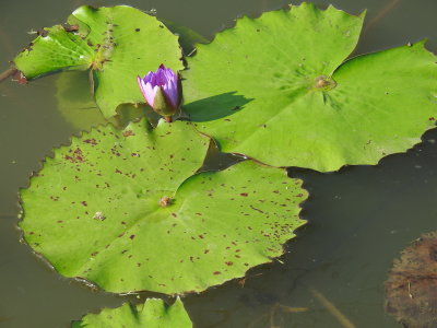 DSCN0869.JPG