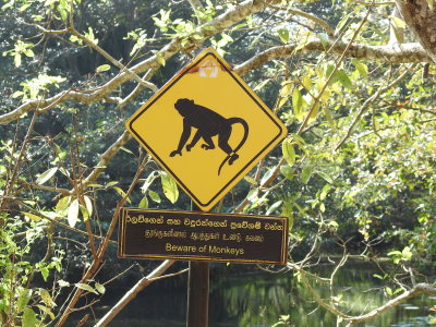 DSCN0874.JPG