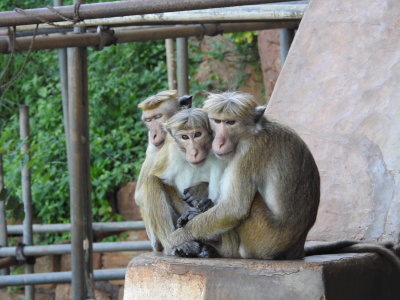 DSCN0900.JPG