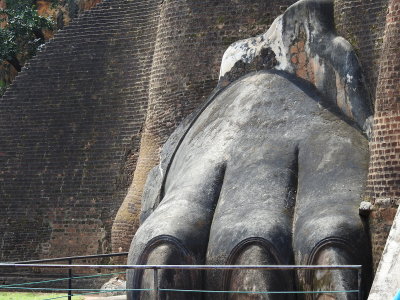 DSCN0904.JPG