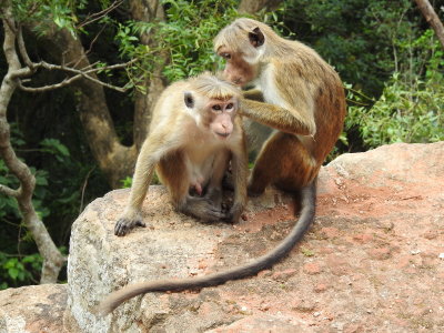 DSCN0932.JPG