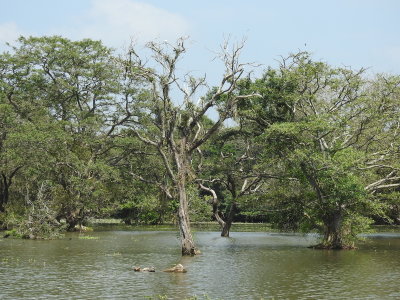 DSCN0964.JPG