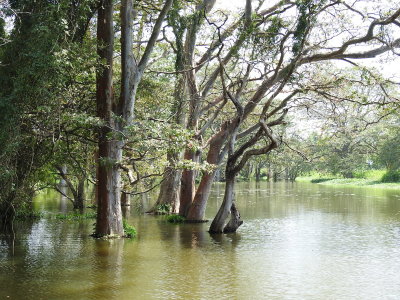 DSCN0979.JPG