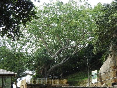 DSCN1064.JPG