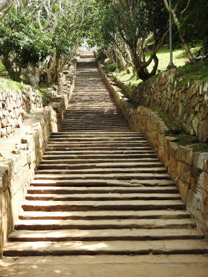 DSCN1084.JPG