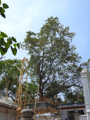 DSCN1094.JPG