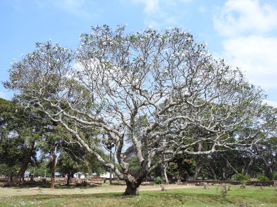 DSCN1116.JPG