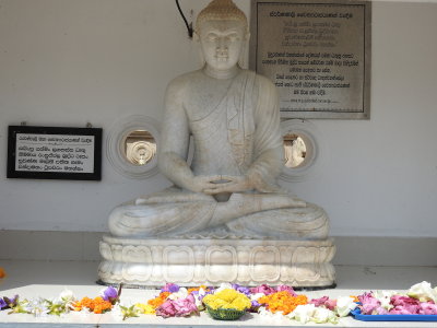 DSCN1125.JPG