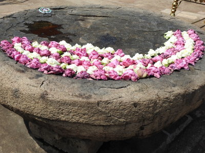 DSCN1131.JPG
