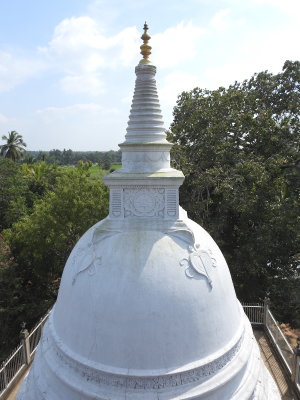 DSCN1150.JPG
