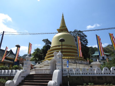 DSCN1388.JPG