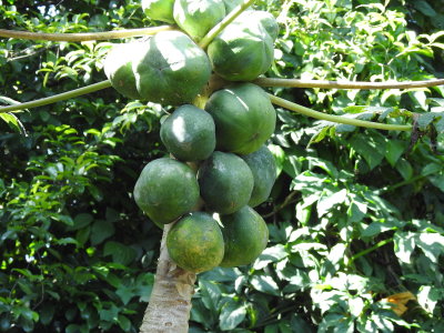 DSCN1396.JPG
