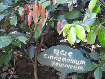 DSCN1397.JPG
