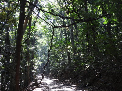 DSCN1446.JPG