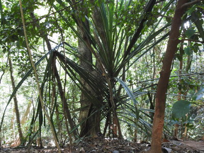 DSCN1450.JPG