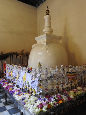 DSCN1504.JPG