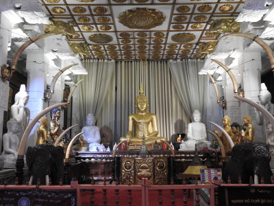 DSCN1519.JPG