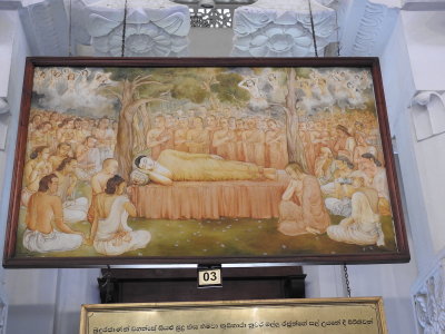 DSCN1520.JPG