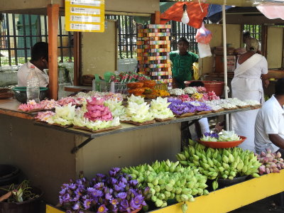 DSCN1537.JPG