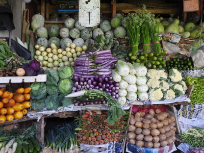DSCN1559.JPG