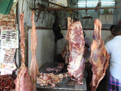 DSCN1563.JPG