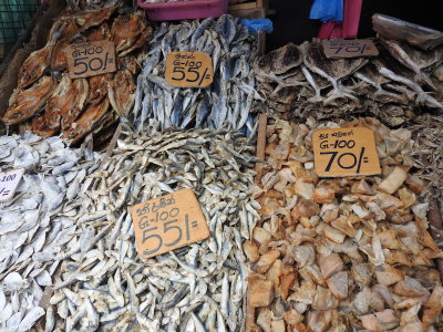 DSCN1583.JPG