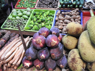 DSCN1586.JPG