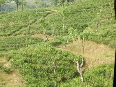 DSCN1678.JPG