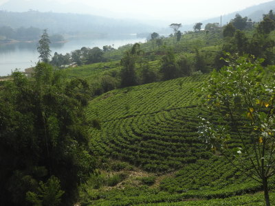 DSCN1690.JPG