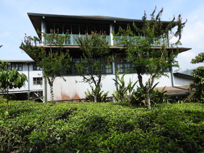 DSCN1715.JPG