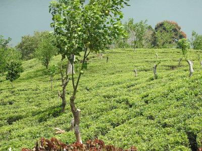 DSCN1767.JPG