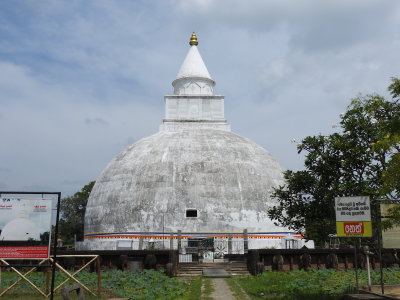 DSCN1824.JPG