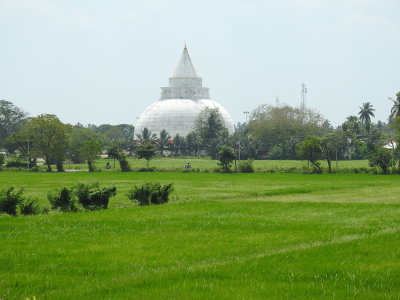 DSCN1845.JPG