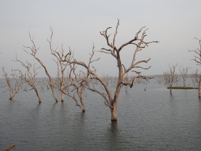 DSCN2078.JPG