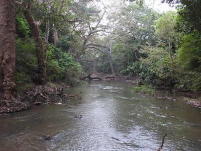 DSCN2109.JPG