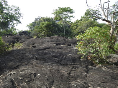 DSCN2124.JPG